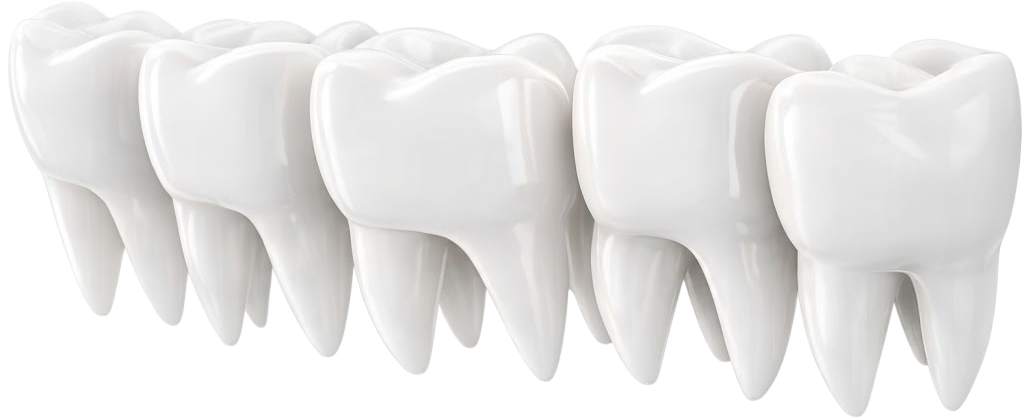 Rangée de dents